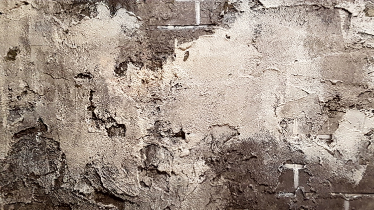 6d67ede5ac1305b047ace33e6c0e8002_1531882016_4079.jpg